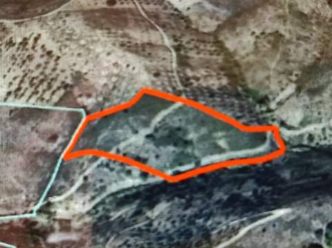 TERRENO RÚSTICO COM 15.560 M2 BONS ACESSOS - NA CORTELHA - AZINHAL - CASTRO MARIM - ALGARVE