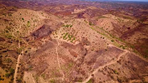 TERRENO RÚSTICO COM 15.560 M2 BONS ACESSOS - NA CORTELHA - AZINHAL - CASTRO MARIM - ALGARVE
