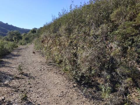 TERRENO RÚSTICO COM 15.560 M2 BONS ACESSOS - NA CORTELHA - AZINHAL - CASTRO MARIM - ALGARVE