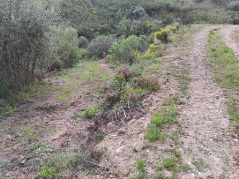 TERRENO RÚSTICO COM 15.560 M2 BONS ACESSOS - NA CORTELHA - AZINHAL - CASTRO MARIM - ALGARVE