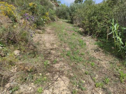 TERRENO RÚSTICO COM 15.560 M2 BONS ACESSOS - NA CORTELHA - AZINHAL - CASTRO MARIM - ALGARVE