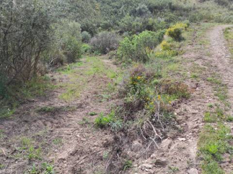 TERRENO RÚSTICO COM 15.560 M2 BONS ACESSOS - NA CORTELHA - AZINHAL - CASTRO MARIM - ALGARVE