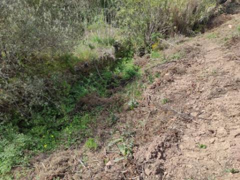 TERRENO RÚSTICO COM 15.560 M2 BONS ACESSOS - NA CORTELHA - AZINHAL - CASTRO MARIM - ALGARVE