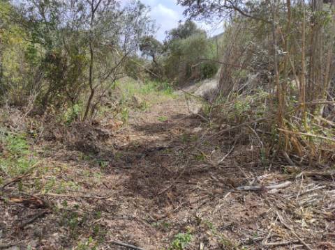 TERRENO RÚSTICO COM 15.560 M2 BONS ACESSOS - NA CORTELHA - AZINHAL - CASTRO MARIM - ALGARVE