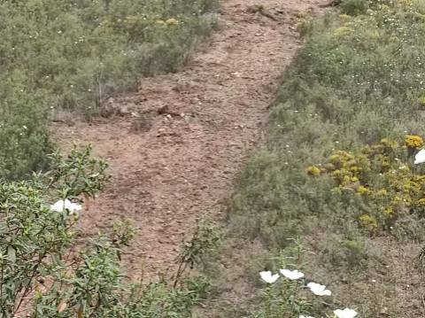 TERRENO RÚSTICO COM 15.560 M2 BONS ACESSOS - NA CORTELHA - AZINHAL - CASTRO MARIM - ALGARVE