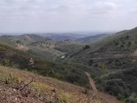 TERRENO RÚSTICO COM 15.560 M2 BONS ACESSOS - NA CORTELHA - AZINHAL - CASTRO MARIM - ALGARVE