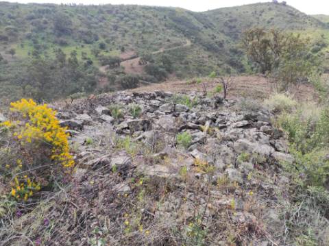 TERRENO RÚSTICO COM 15.560 M2 BONS ACESSOS - NA CORTELHA - AZINHAL - CASTRO MARIM - ALGARVE