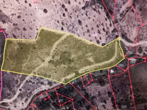 TERRENO RÚSTICO COM 15.560 M2 BONS ACESSOS - NA CORTELHA - AZINHAL - CASTRO MARIM - ALGARVE