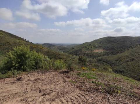 TERRENO RÚSTICO COM 15.560 M2 BONS ACESSOS - NA CORTELHA - AZINHAL - CASTRO MARIM - ALGARVE