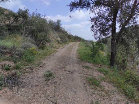 TERRENO RÚSTICO COM 15.560 M2 BONS ACESSOS - NA CORTELHA - AZINHAL - CASTRO MARIM - ALGARVE