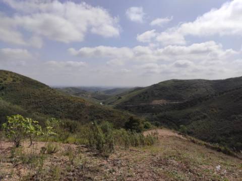 TERRENO RÚSTICO COM 15.560 M2 BONS ACESSOS - NA CORTELHA - AZINHAL - CASTRO MARIM - ALGARVE
