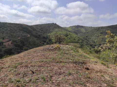 TERRENO RÚSTICO COM 15.560 M2 BONS ACESSOS - NA CORTELHA - AZINHAL - CASTRO MARIM - ALGARVE