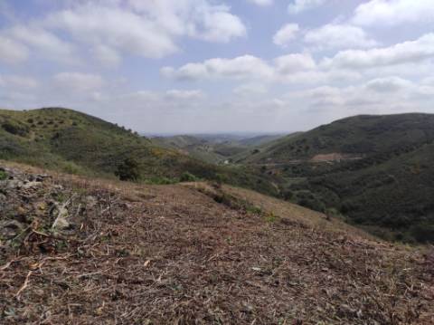 TERRENO RÚSTICO COM 15.560 M2 BONS ACESSOS - NA CORTELHA - AZINHAL - CASTRO MARIM - ALGARVE
