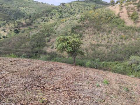 TERRENO RÚSTICO COM 15.560 M2 BONS ACESSOS - NA CORTELHA - AZINHAL - CASTRO MARIM - ALGARVE