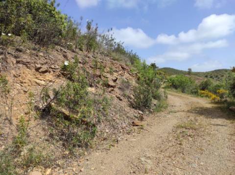 TERRENO RÚSTICO COM 15.560 M2 BONS ACESSOS - NA CORTELHA - AZINHAL - CASTRO MARIM - ALGARVE