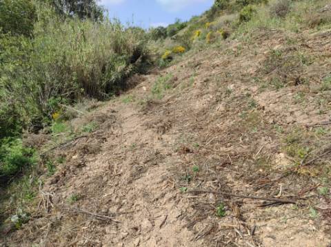 TERRENO RÚSTICO COM 15.560 M2 BONS ACESSOS - NA CORTELHA - AZINHAL - CASTRO MARIM - ALGARVE