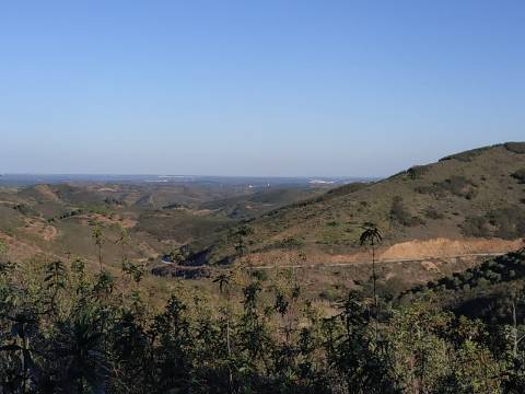 TERRENO RÚSTICO COM 15.560 M2 BONS ACESSOS - NA CORTELHA - AZINHAL - CASTRO MARIM - ALGARVE