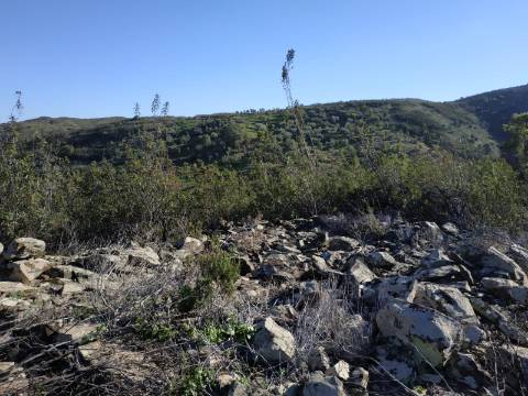 TERRENO RÚSTICO COM 15.560 M2 BONS ACESSOS - NA CORTELHA - AZINHAL - CASTRO MARIM - ALGARVE