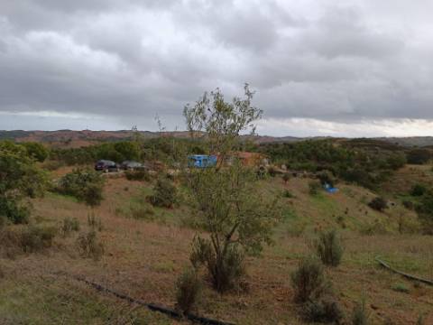 TERRENO COM 11.360 M2 - ALCARIAS GRANDES - AZINHAL - CASTRO MARIM - ALGARVE