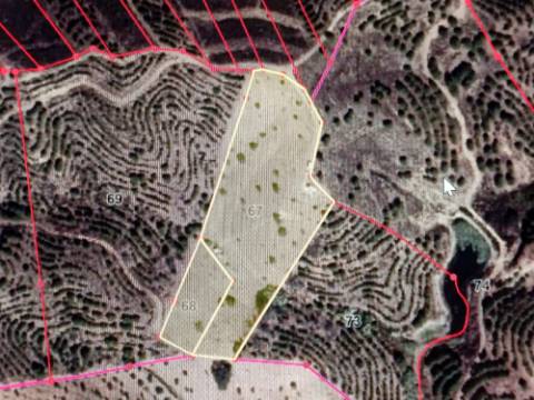 TERRENO COM 11.360 M2 - ALCARIAS GRANDES - AZINHAL - CASTRO MARIM - ALGARVE