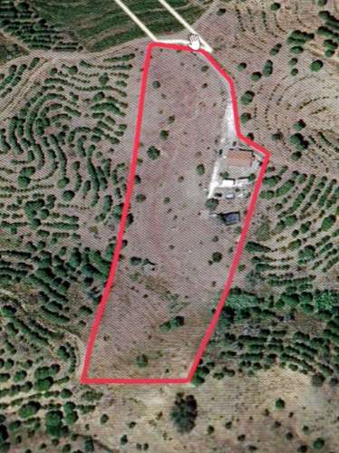 TERRENO COM 11.360 M2 - ALCARIAS GRANDES - AZINHAL - CASTRO MARIM - ALGARVE