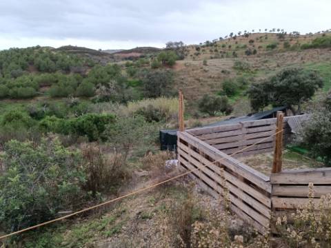 TERRENO COM 11.360 M2 - ALCARIAS GRANDES - AZINHAL - CASTRO MARIM - ALGARVE