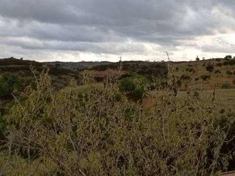 TERRENO COM 11.360 M2 - ALCARIAS GRANDES - AZINHAL - CASTRO MARIM - ALGARVE