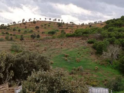 TERRENO COM 11.360 M2 - ALCARIAS GRANDES - AZINHAL - CASTRO MARIM - ALGARVE