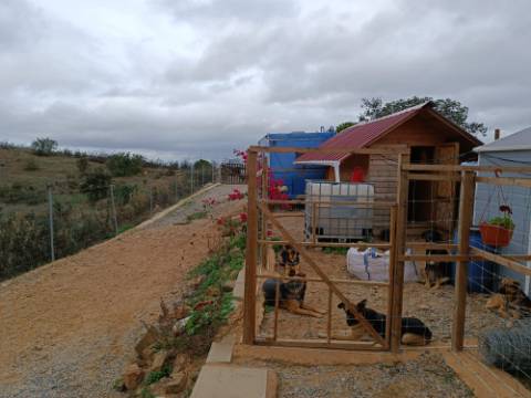 TERRENO COM 11.360 M2 - ALCARIAS GRANDES - AZINHAL - CASTRO MARIM - ALGARVE