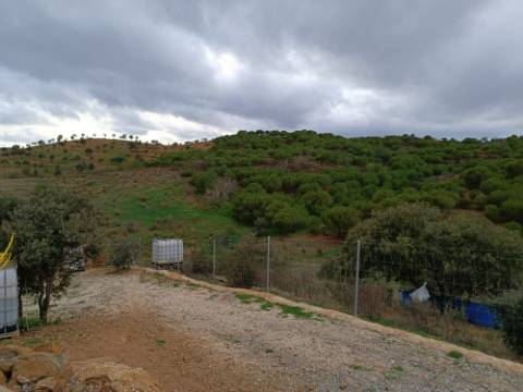 TERRENO COM 11.360 M2 - ALCARIAS GRANDES - AZINHAL - CASTRO MARIM - ALGARVE