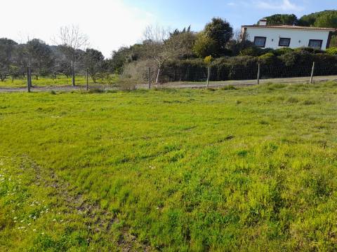 Terreno Rio Maior-Santarem