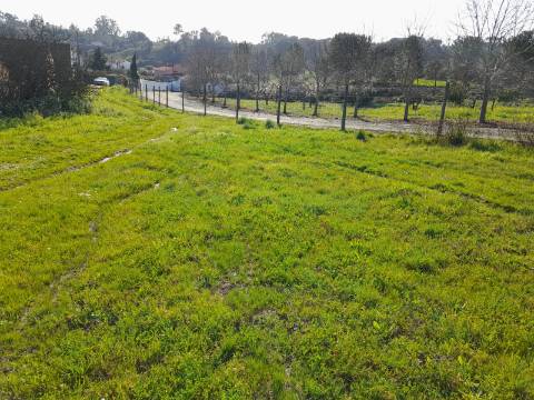 Terreno Rio Maior-Santarem