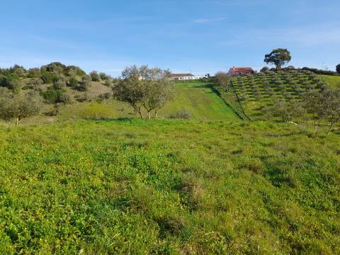 Terreno Rio Maior-Santarem