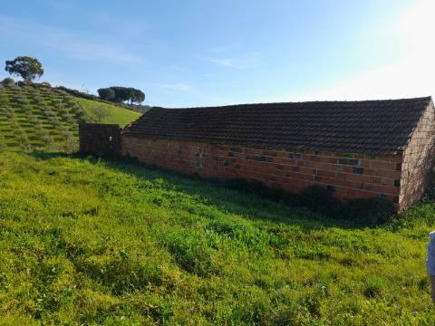 Terreno Rio Maior-Santarem
