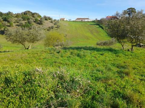 Terreno Rio Maior-Santarem