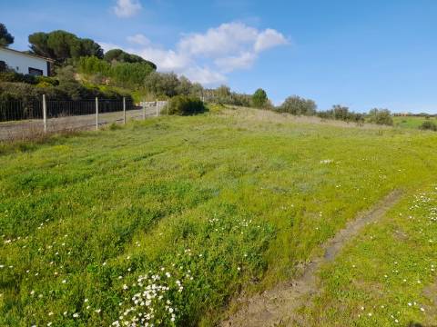 Terreno Rio Maior-Santarem