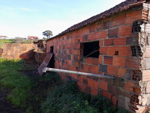 Terreno Rio Maior-Santarem