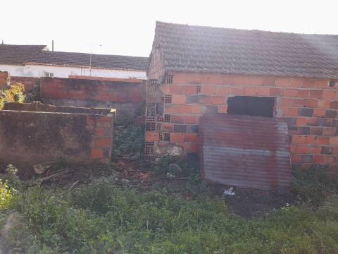 Terreno Rio Maior-Santarem