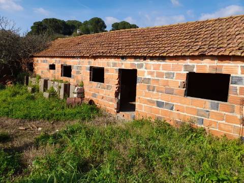 Terreno Rio Maior-Santarem