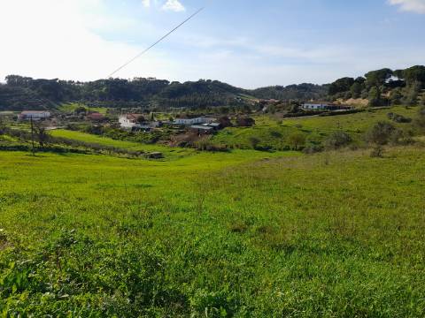 Terreno Rio Maior-Santarem