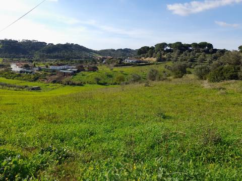 Terreno Rio Maior-Santarem