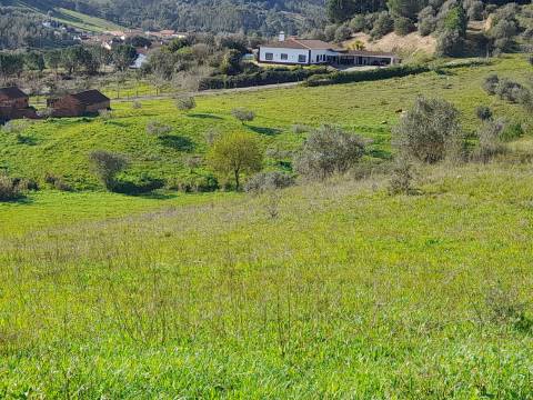 Terreno Rio Maior-Santarem