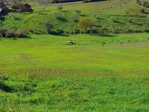 Terreno Rio Maior-Santarem
