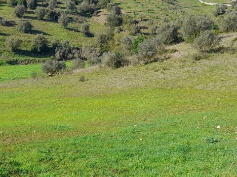 Terreno Rio Maior-Santarem