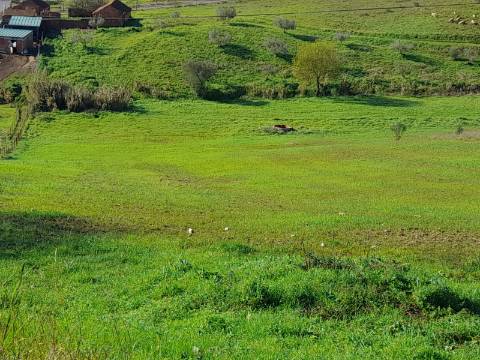 Terreno Rio Maior-Santarem