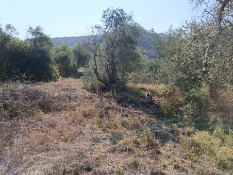 TERRENO RUSTICO COM 760 M2 JUNTO AO RIO GUADIANA - PONTAL - ALCOUTIM