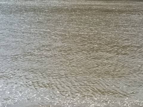 TERRENO RUSTICO COM 760 M2 JUNTO AO RIO GUADIANA - PONTAL - ALCOUTIM