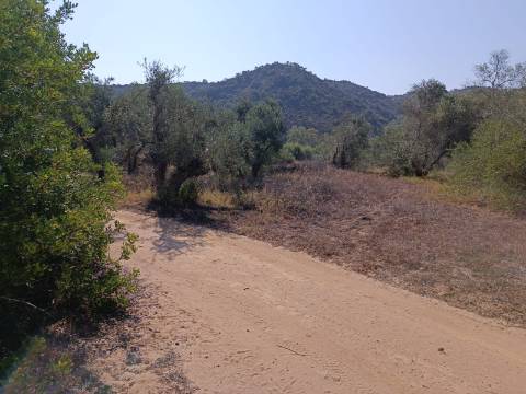 TERRENO RUSTICO COM 760 M2 JUNTO AO RIO GUADIANA - PONTAL - ALCOUTIM