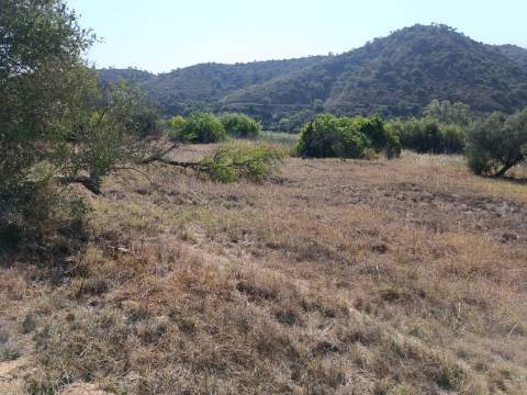 TERRENO RUSTICO COM 760 M2 JUNTO AO RIO GUADIANA - PONTAL - ALCOUTIM