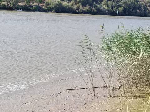 TERRENO RUSTICO COM 760 M2 JUNTO AO RIO GUADIANA - PONTAL - ALCOUTIM